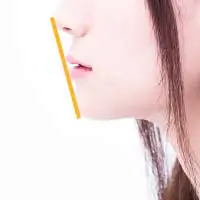 エステティックライン(Eライン)